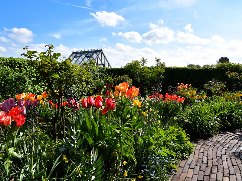 Kleurrijke tulpenborder met glazen kas in april bij Versicolor Tuinen