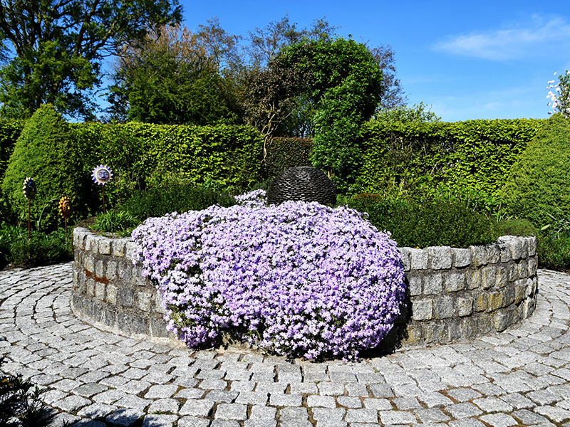 Ronde stenen border met kleine paarse bloemen in april