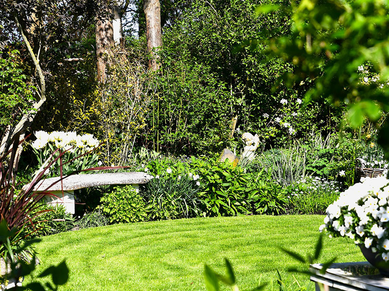 Tuinbankje tussen witte voorjaarsbloemen en fris groen