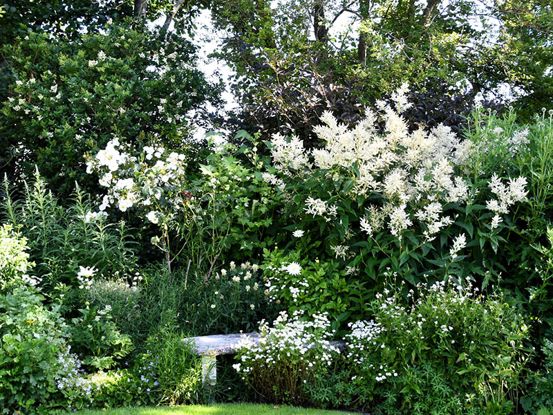 Witte bloemenborder met lichte bladstructuren en tuinbankje
