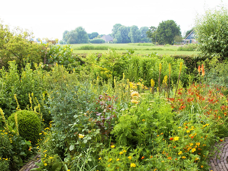 Uitbundige bloementuin met uitzicht over het landelijke landschap