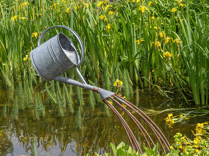 Metalen gieter als tuindecoratie bij de vijver
