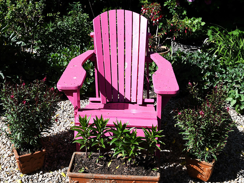 Felroze tuinstoel tussen groene beplanting in mei