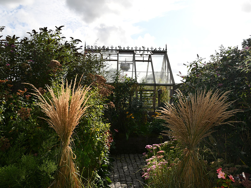 Hoge siergrassen rond de glazen kas in september