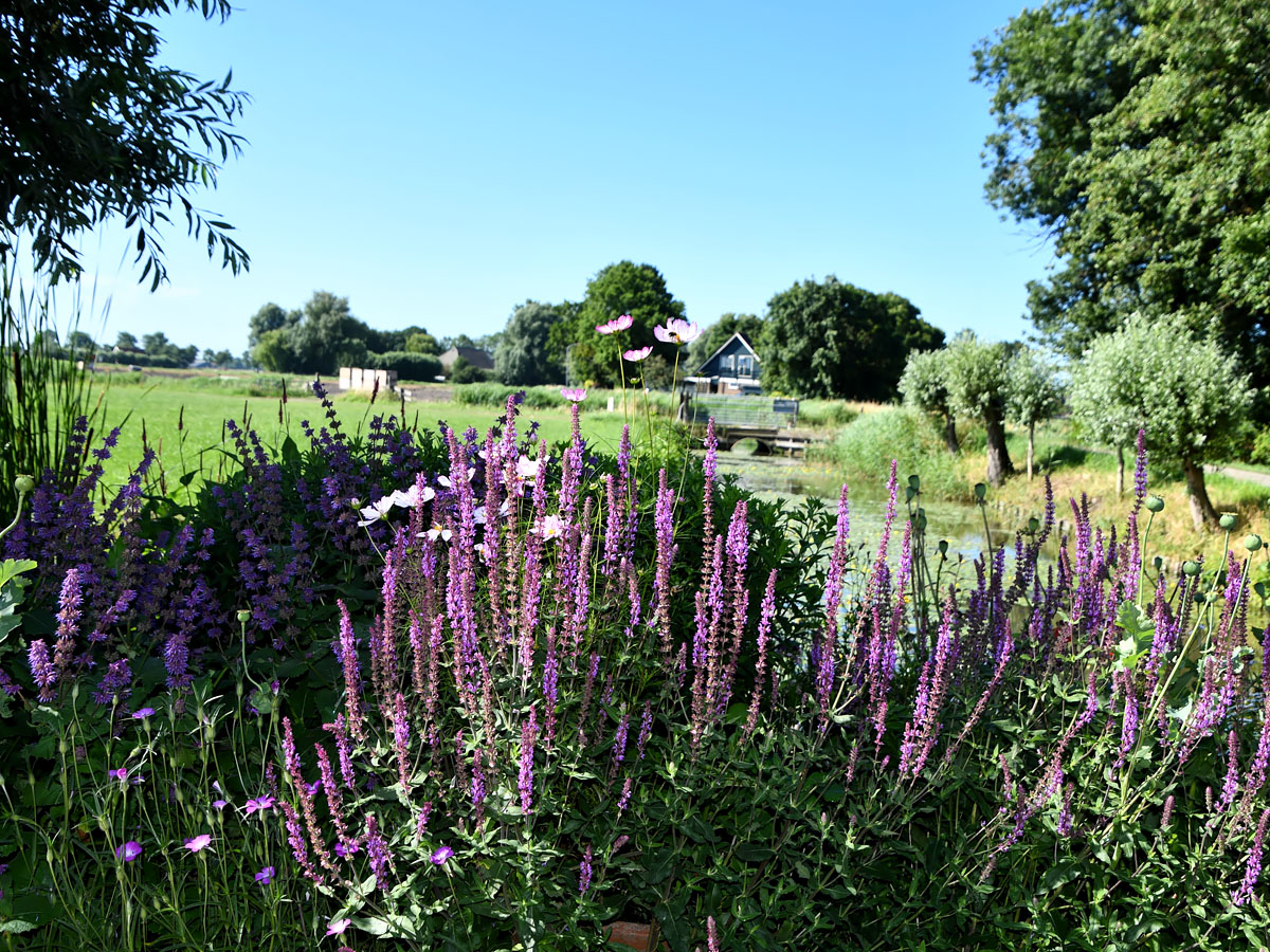 Entree van Versicolor Tuinen tijdens een open tuinweekend in Lutjewinkel