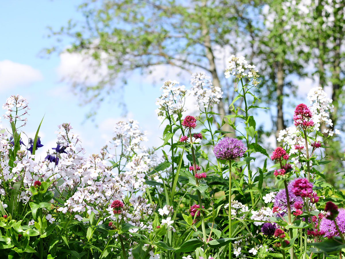 Tuinclub tijdens een gezamenlijk bezoek aan Versicolor Tuinen in Lutjewinkel