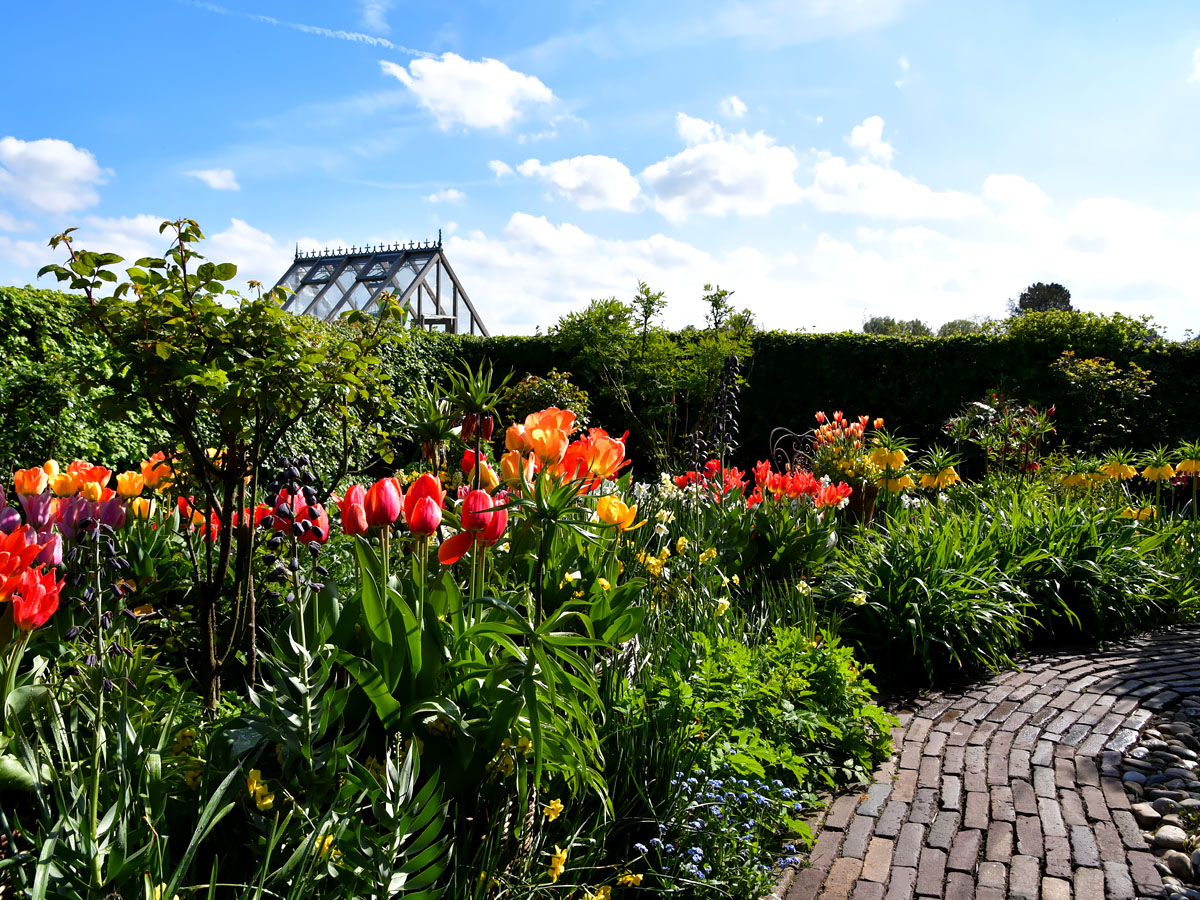 Kleurrijke cottageborder van Versicolor Tuinen in Lutjewinkel