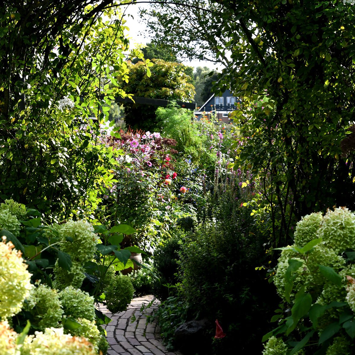 Witte tuinkamer met weelderige zomerbeplanting bij Versicolor Tuinen